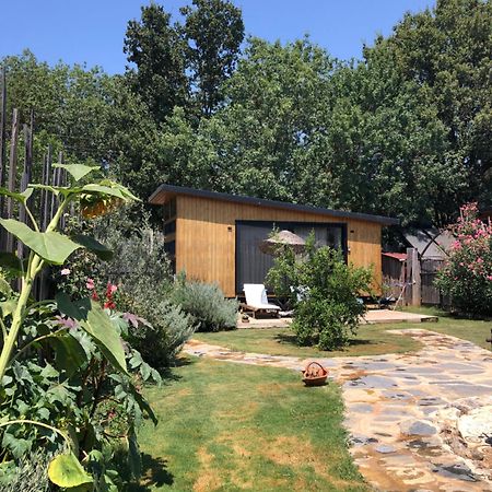 Вилла Tiny House Kayakoey Nar Фетхие Экстерьер фото
